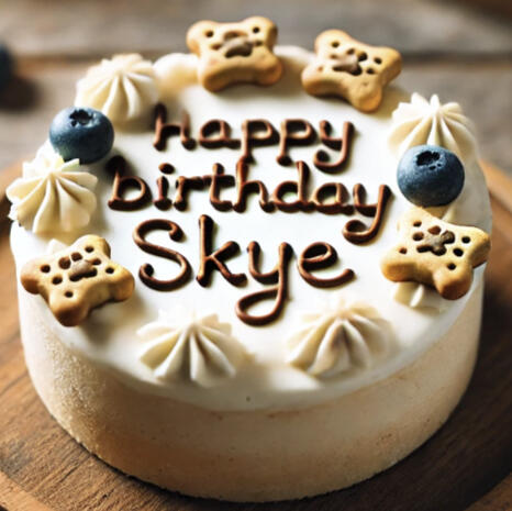 Bark Bars $7 per bag